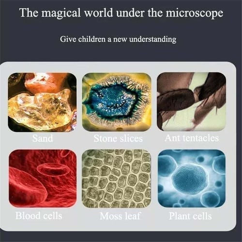 🔥Kid's Portable Pocket Microscope