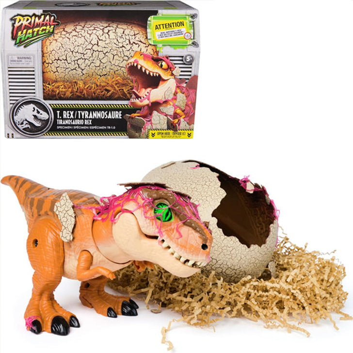Jurassic World Dinosaur Egg: Hatch and Train Your Baby Dino