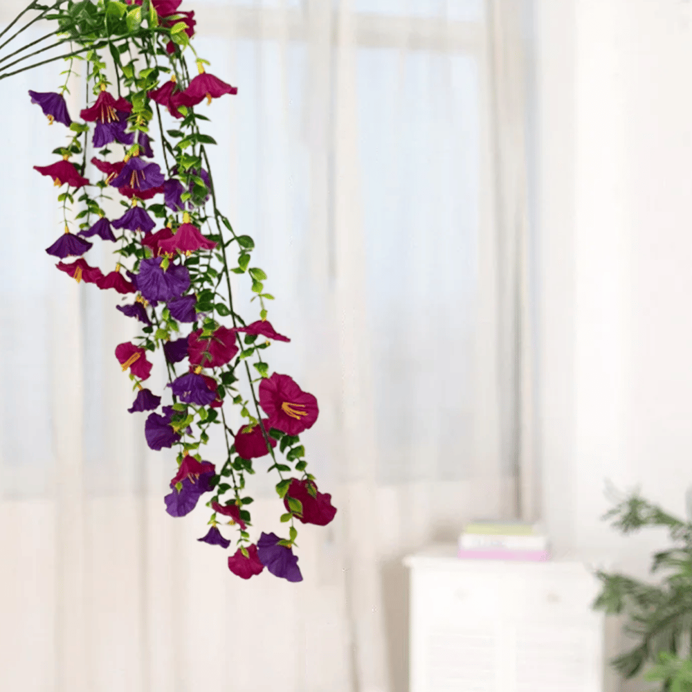 🌺Hanging Morning Glory