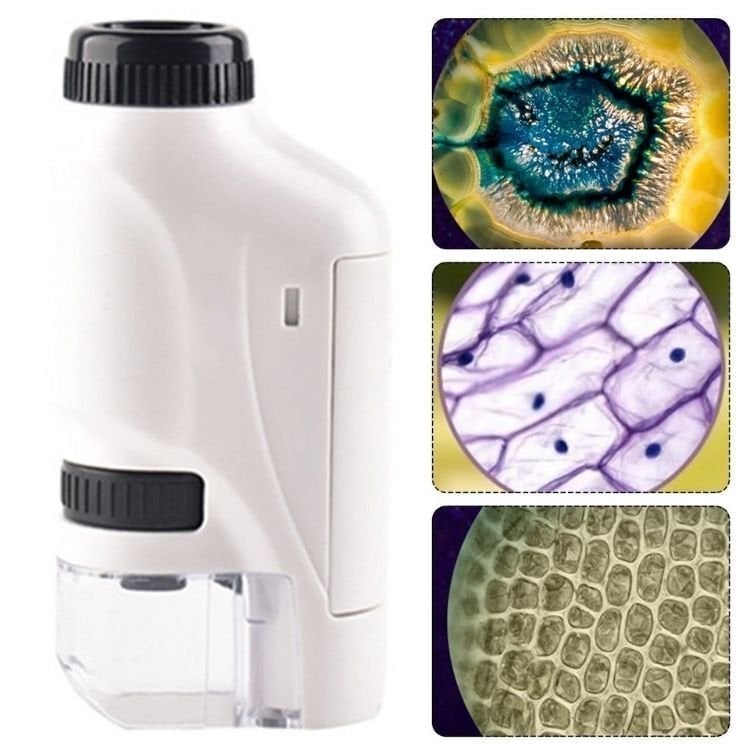 🔥Kid's Portable Pocket Microscope
