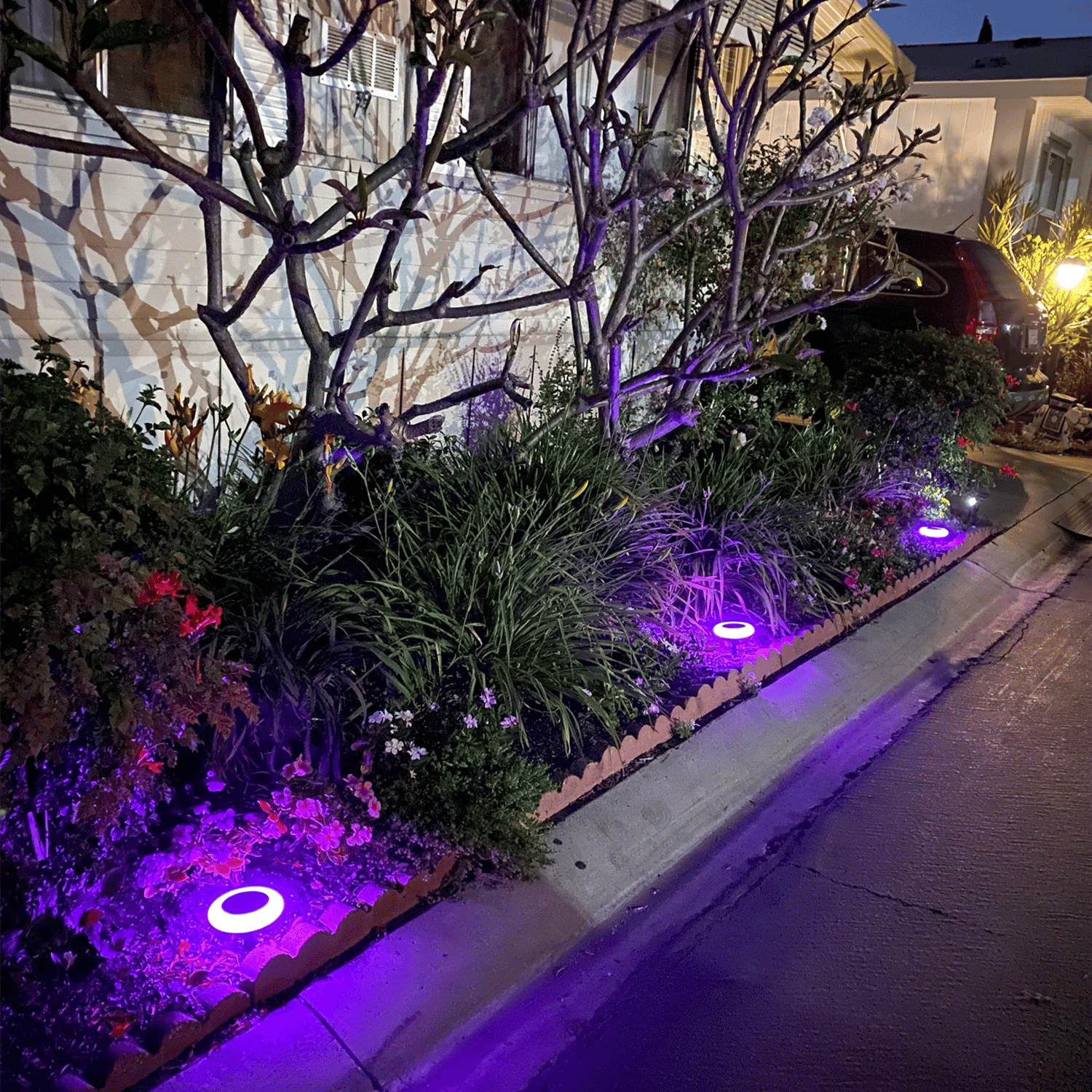 ✨Perfect home upgrade 👍Solar lights outdoor led colorful lights 🌈-BUY 2 GET 1 FREE