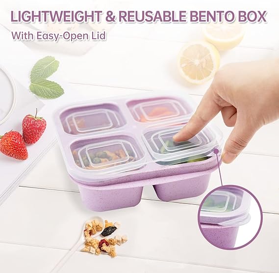 🔥Hot Sale🔥- Bento Lunch Box