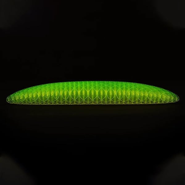 🔥New Arrivals-49% OFF🔥🐛Worm Big Fidget Toy