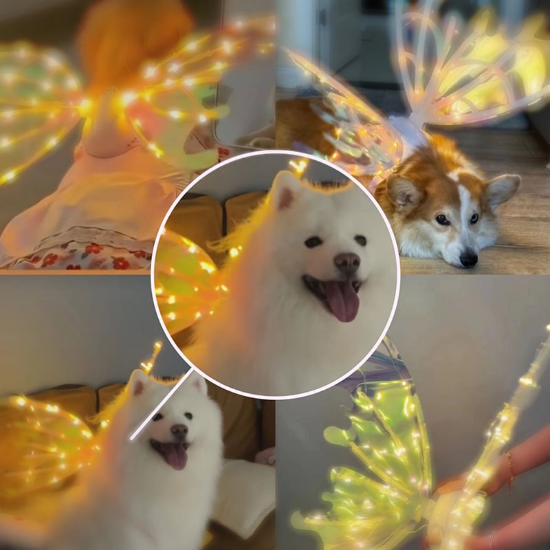 🎅2024 Christmas Gift 🦋Electric Butterfly Wings With Music Lights