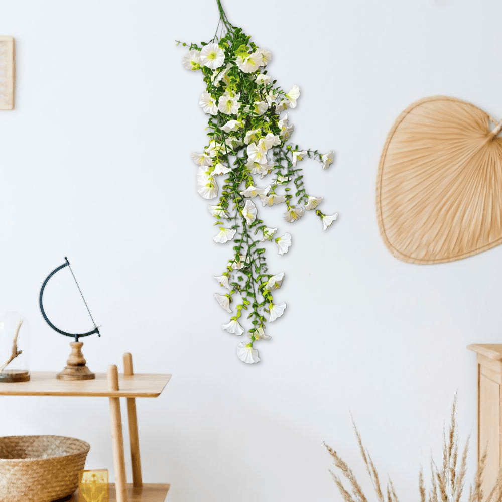 🌺Hanging Morning Glory