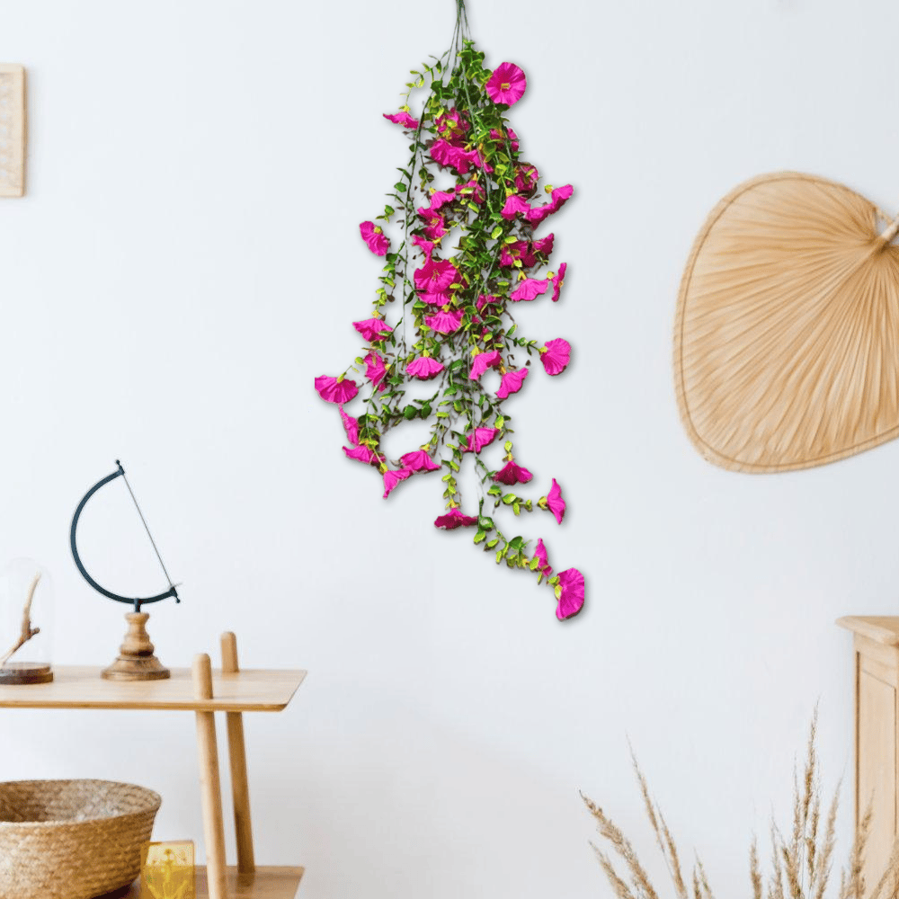 🌺Hanging Morning Glory