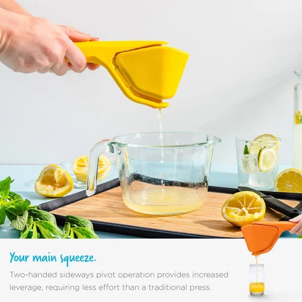 🍋 Lemon Fluicer