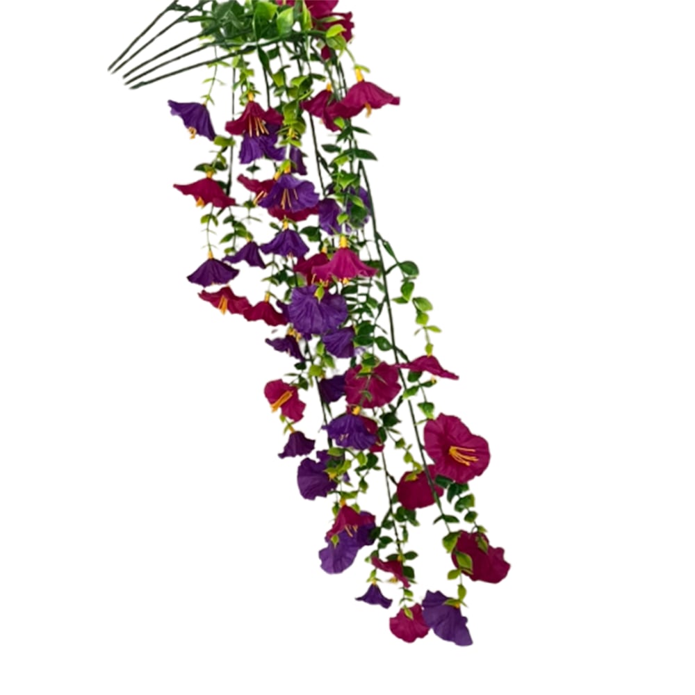 🌺Hanging Morning Glory