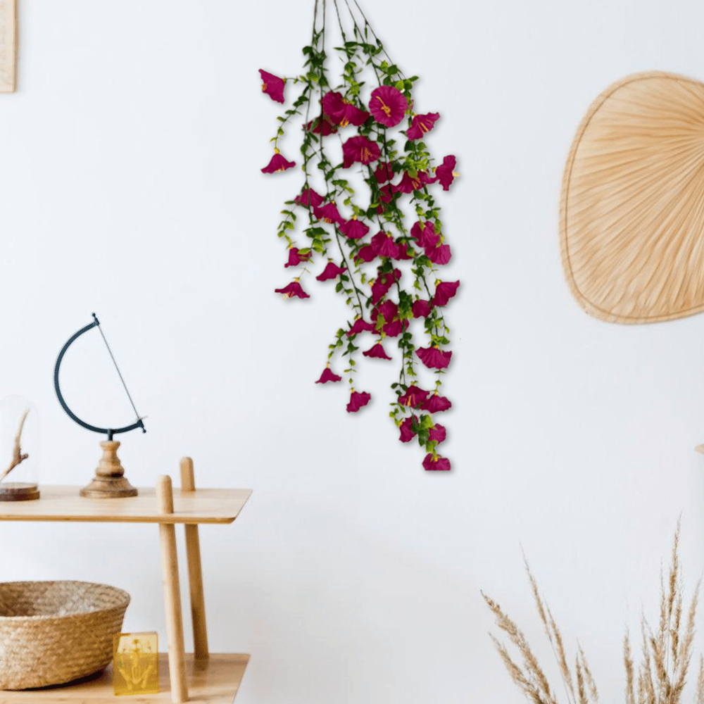 🌺Hanging Morning Glory