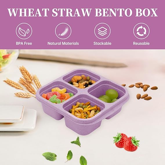 🔥Hot Sale🔥- Bento Lunch Box